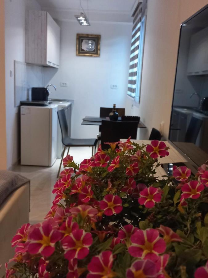 Apartments Stankovic & Boat Tours Вирпазар Экстерьер фото